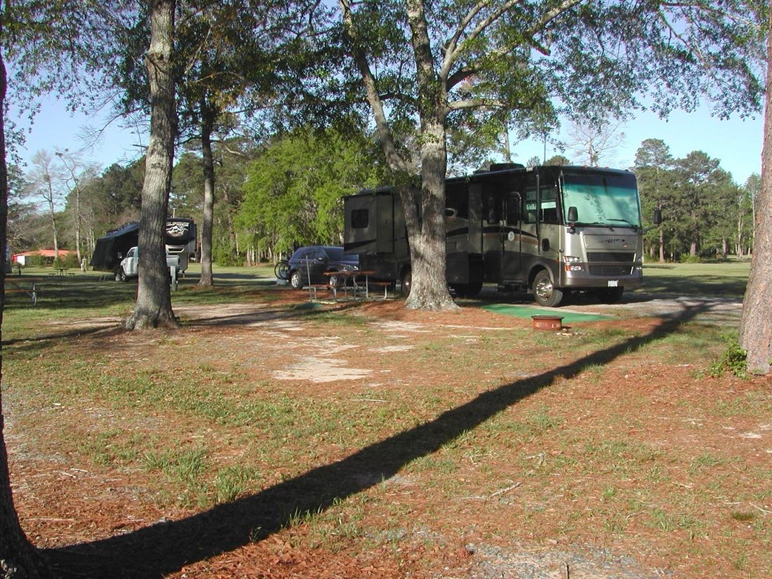 A motorhome set up on a shaded, level site among tall pines at Brickyard Plantation.